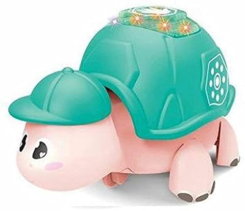 SR TOYS Cute Paradise Little Tortoise with Musical Sound Effect for Toodler Kids Toy Infant Kids Toy