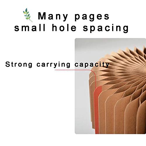 Sunga Rip Curl Echo Boxer Csi006917 Masculina