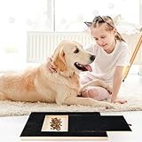 Kratzbrett für Hunde mit Leckerlibox 35x25x3cm, Stressfrei Kratzbrett für Hundekrallen,Sandpapierbrett Scratch Board Dog für Nägel Alternative zu Krallenschleifer für Hunde/Krallenschere für Hunde