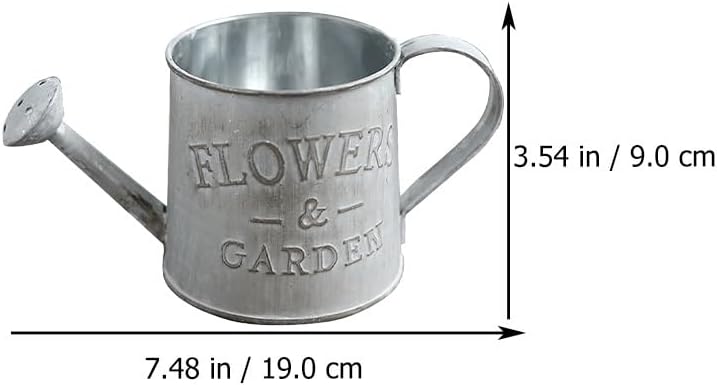 Ciieeo 6 Pcs Tin Watering Can Vintage Vases Tabletop Decor Cactus Plants Gardening Watering Cans Galvanized Decor Watering Kettle Vase Indoor Plant Stand House Plant Iron Desk Stand Rural