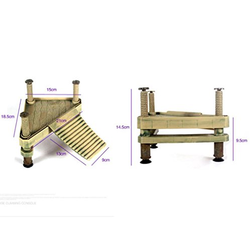 Rettile Tartaruga Parco Piattaforma Molo di