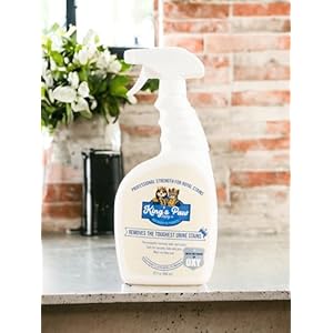   Kings-Paw-Supply-Co-Oxy-Stain-Remover-Oxygen-Powered-Carpet-Cleaner-Spray-WITH-Enzymes-Cleans-Upholstery-Couch-Laundry-Rug-Clothes-Car-Seat-Mattress-Sofa-More-Kid-Pet-Baby-Stains