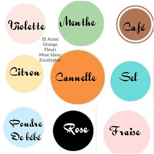 Boîte d'œufs savons artisanal cannelle pour une routine bien-être et cocooning - 4