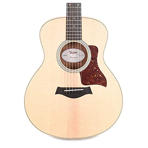Taylor GS Mini Rosewood