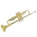 Student Brass Trumpet Professional Phosphor Bronze Mouthpipe B-B Tuning Gold Trumpet Band Playing Musical Instruments