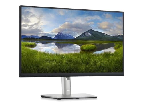 Dell P2423DE - vue 10