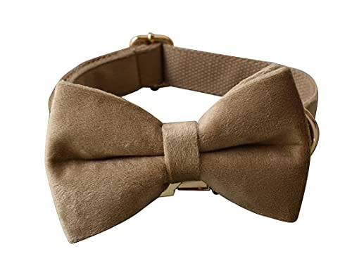 Dog Collar Custom Personalized Engraved Name And Phone Number For Puppy Small Medium Large Pets (M, Khaki) #TOP2