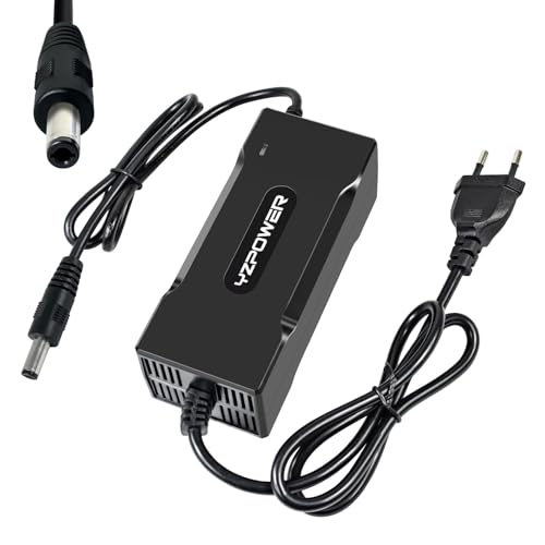 Cargador de patineta eléctrica de 42V 2A, Adecuado para Cargar baterías de Litio de 36 V (Bicicleta eléctrica, Scooter eléctrico, Hoverboard, smartgyro) equipados con Conector DC5.5*.21 mm.