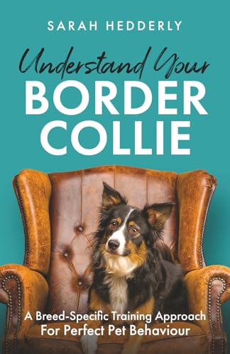 Understand Your Border Collie: A Breed-Specific Training Approach for Perfect Pet Behaviour