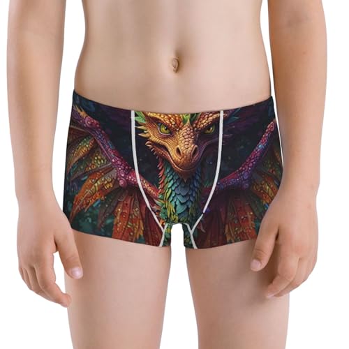 Boys' Cotton Boxer Brief Soft Underwear-Whimsical Dragon Color Cool