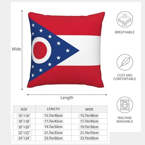 Fundas para cojines decorativos de sofá juego de 2 con estampado de bandera de Ohio 5