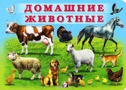 Paperback OSP.Fl.UM.(karton)Domashnie zhivotnye [Russian] Book