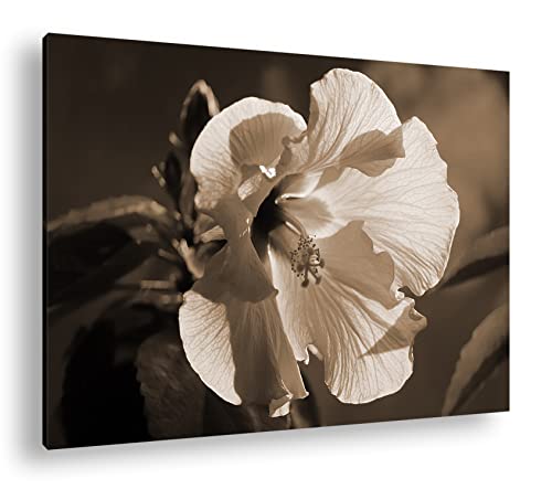Pétales d'hibiscus décoration murale sépia 90x60 deyoli grand format cadre