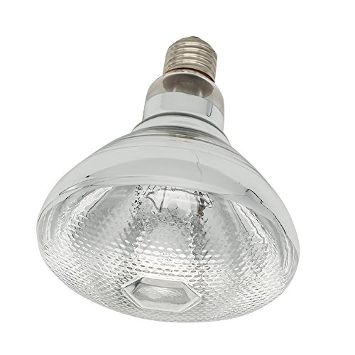 Fengrun Infrared Bulb Red Hard Explosion-Proof Glass Infrared Heat Lamp Bulb For Chicken, Pet, Bathroom Warming thumb #1