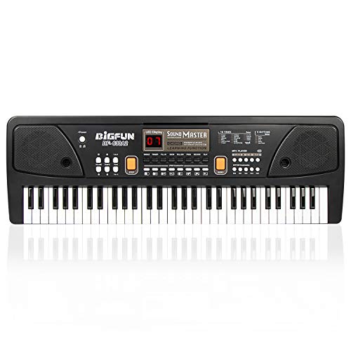 LeeQee Digital Keyboard Piano for Kids & Beginners, 61 Keys Multifunction Electric Piano Keyboard...