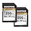 256GB 4K Camera Pro SD Card 2-Pack