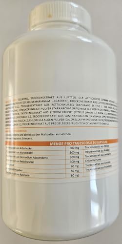 Institut Actiscience Hepaphenol - Verwaltet Den Cholesterinspiegel - Steuert Unsere Energie - Schützt Uns Vor Krankheiten - 1 packungen alle 1 MONATE