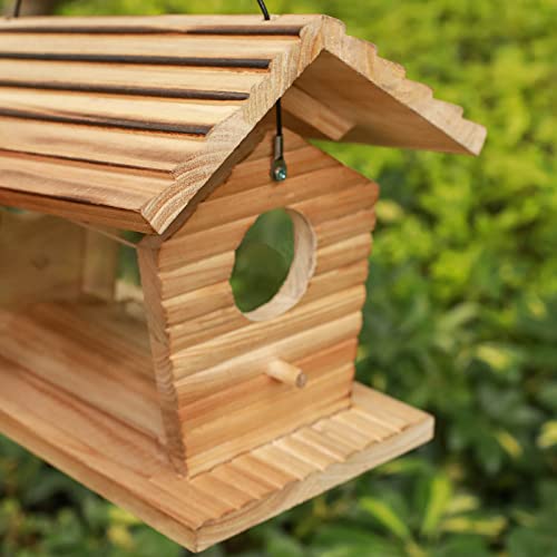Bird Feeder Mealworms Feeder Bluebird House Feeder Hanging Bird Feeders For Outdoors Squirrel Proof Bird Feeder #TOP3