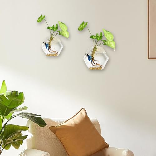 Station de propagation de la plante en verre de qualité supérieure pour mur - 8