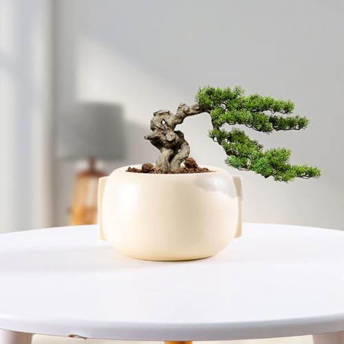 Pots de fleurs décoratifs pour sublimer les petits espaces