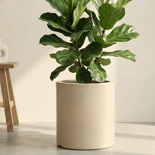 Image of Eha Earth Friendly Gallery Big Planters for Home Decor | 15 inch, Pack of 1 | Heavy Duty Plant Pot Made with Rice Husk & Bamboo Biocomposite| UV Protected Pot for Plant | Pots & Planters Big Size