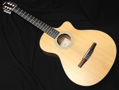 Amazon | Taylor 112ce-N Nylon テイラー エレガット ナイロン弦