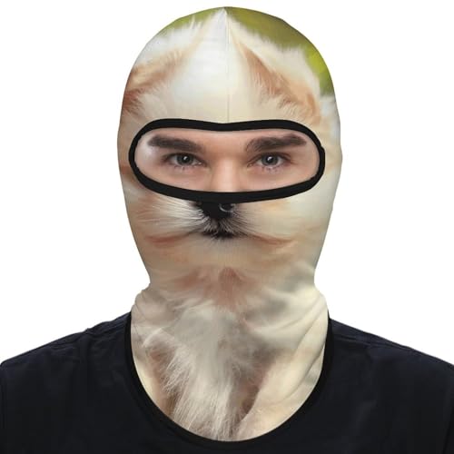 Balaclava para Hombre, Máscara de Esquí, Cubierta de Cara de Invierno para Ciclismo miniatura 7