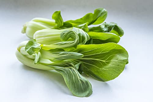 Pak Choi 200 Seeds, Bok Choy Seeds