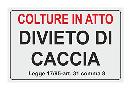 Cartello in metallo con scritta in inglese Man Cave My Room (lingua italiana non garantita) con scritta in inglese Cave My Room (lingua italiana non garantita) (lingua italiana non garantita