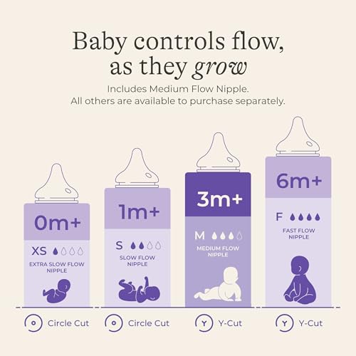 Image of Lansinoh Anti-Colic Glass Baby Bottles, Purple Collar, 8 Ounces, 4 Count