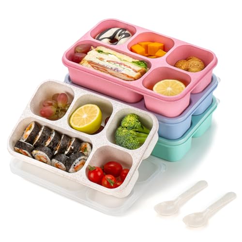 TurtingAs - Paquete de 4 cajas bento para adultos, contenedores de almuerzo con 5 compartimentos, contenedores de paja de trigo para adultos, contenedores de...