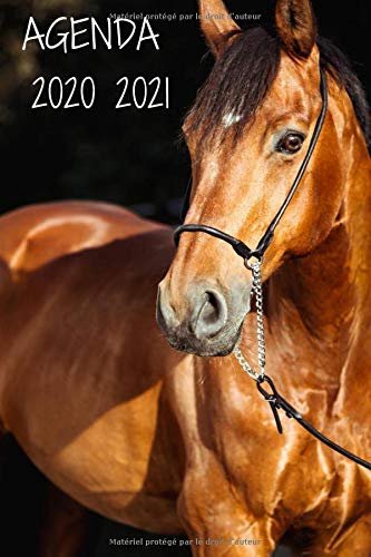 Télécharger Agenda 2020 2021: Agenda 2020 2021 : Agenda scolaire primaire collège et lycée thème cheval 2020 Gratuit