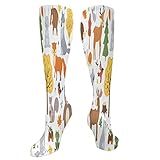 Woodland Animals Cute Fuchs, Bär, Wolf, Kaninchen und Vögel Kniehohe Oberschenkelstrümpfe Kompressionssocken 50 cm Herren Damen Athletic Lange Strümpfe