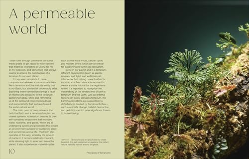 Hello Tiny World: An Enchanting Journey into the World of Creating Terrariums - Image 3