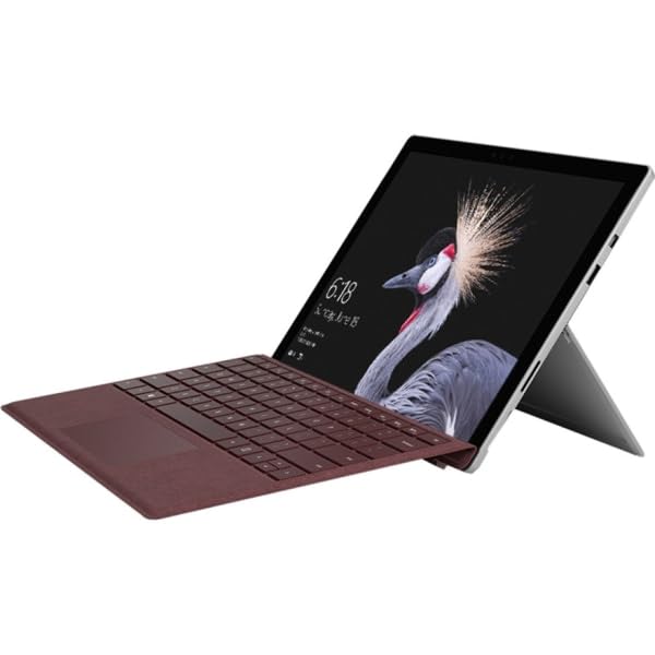 Amazon.com: Microsoft Surface Pro Signature Type Cover- Burgundy 