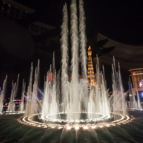 『Your Ultimate Vegas Guide』のカバーアート