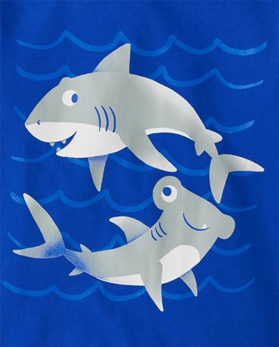 Image of Baby Boys and Toddler Boys Short Sleeve Graphic T- Shirt 2-pack