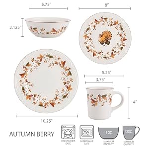Pfaltzgraff Autumn Berry 16 Piece Dinnerware Set Service for 4 Multi Colored