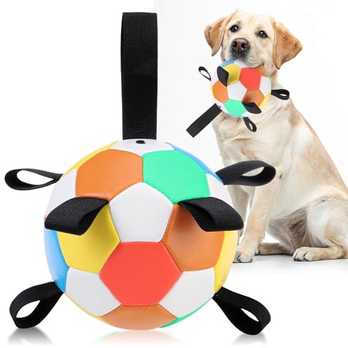 EXPAWLORER Dog Soccer Ball Toy- Outdoor Toy for Dogs with Straps, Durable Interactive Dog Chew Ball, Water Toy for Puppy Small Medium and Large Dogs