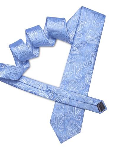 Image of Barry.Wang Paisley Tie for Men Silk Woven Necktie and Tie Clip Set Wedding Party Business Formal
