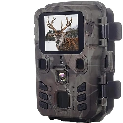 Caméra de chasse Bluetooth DELURA pour observer la faune du jardin