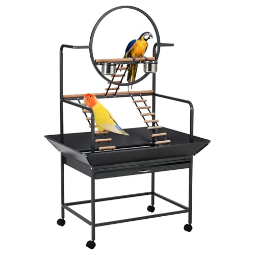 Pet Products Parrot Playstand with Wheels, Bird Cage Stand Activity Play Center with Perches and Ladders, Indoor Outdoor Playground for Birds, Black Hammertone Finish