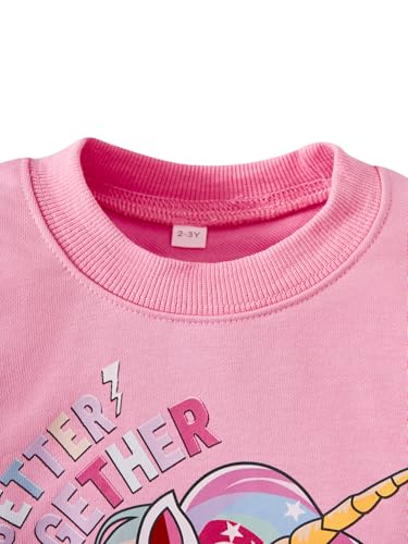 Image of Little Girls Outfits 2 Piece Toddler Long Sleeve Sweatshirt Leggings Pants Fall Winter Clothing Set 2-10 Years