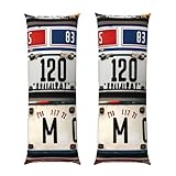 Retraite reposante : les housses de coussin en peluche courte avec impression de plaque d'immatriculation garantissent une expérience confortable. Que ce soit allongé dans le lit ou allongé sur un canapé, il crée un espace doux et accueillant pour se détendre et rajeunir.