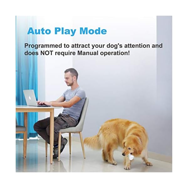 Smart-Bone-Automatic-Interactive-Toy-for-Dog-Puppy-and-Cat-App-Control-Safe-Durable-Keep-Your-Pets-Entertained-All-Day Smart Bone Automatic Moving Toy