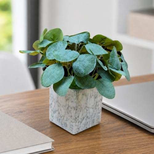 Image of fancymart Artificial Plant with Real-Touch Leaves in Pot, 25 cm, Indoor Tabletop Item for Home Decor, Office, Living Room
