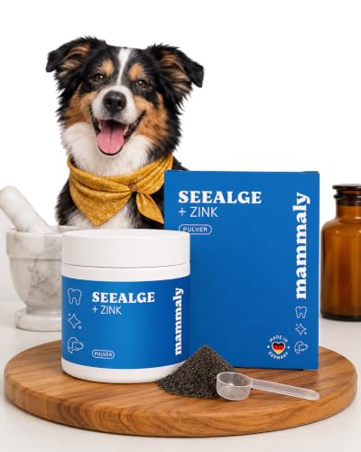 mammaly Zahnsteinentferner für Hunde - 98% Seealgenmehl mit Zink - Pulver gegen Mundgeruch - Natürliche Zahnpflege & Maulhygiene - Mit Ascophyllum nodosum - Barf Mineralien Ergänzung - 150g
