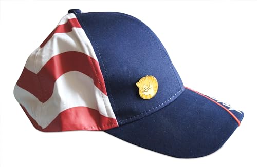 Image of Novel Merk Striped Cat Lapel Pin, Hat Pin, & Tie Tack Set with Clutch Back