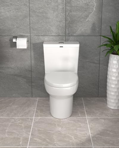Dcolora One Piece Toilet DC-OPT152 Dual Flush 1.1/1.6 GPF Elongate Design,With Soft Closing Seat and Comfort Height, 28.5 x 15.7 x 27, Glossy White
