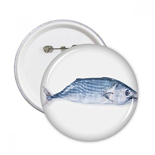Badge poisson frais lot de 5 petits boutons de decoration XL comme cadeaux originaux multicolores